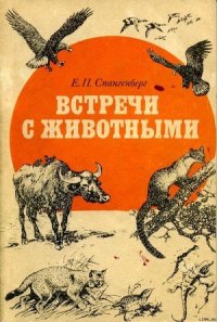 Встречи с животными - Спангенберг Евгений Павлович (хороший книги онлайн бесплатно TXT) 📗