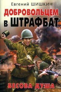 Добровольцем в штрафбат. Бесова душа - Шишкин Евгений Васильевич (версия книг .TXT) 📗