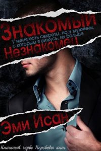 Знакомый Незнакомец (ЛП) - Исан Эми (книги онлайн без регистрации .TXT) 📗