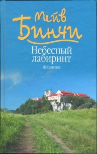 Небесный лабиринт. Искушение - Бинчи Мейв (книги онлайн читать бесплатно TXT) 📗