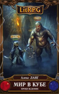 Мир в Кубе. Пробуждение - Ланг Алекс (лучшие книги онлайн .TXT) 📗