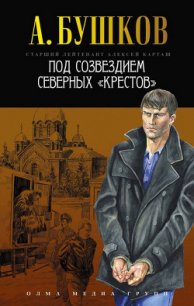 Под созвездием северных «Крестов» - Бушков Александр Александрович (серии книг читать онлайн бесплатно полностью .TXT) 📗