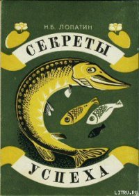 Секреты успеха (Записки рыболова) - Лопатин Николай Борисович (книги онлайн бесплатно серия .TXT) 📗