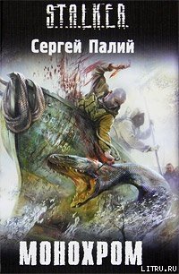 Монохром - Палий Сергей Викторович (полная версия книги TXT) 📗