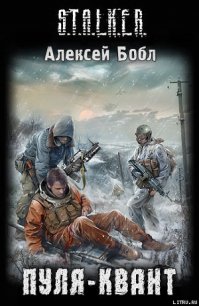 Пуля-Квант - Бобл Алексей (читать книги бесплатно полностью без регистрации сокращений TXT) 📗