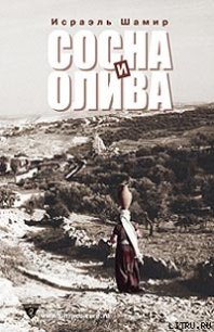 Сосна и олива или Неприметные прелести Святой Земли - Шамир Исраэль (книги читать бесплатно без регистрации полные TXT) 📗