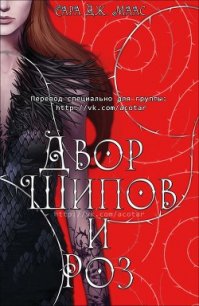 Двор шипов и роз (ЛП) - Группа A Court Of Thorns And Roses by Sarah J. Maas (читать книги полностью без сокращений бесплатно TXT) 📗