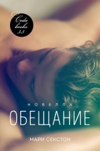 Обещание (ЛП) - "Cloudberry" (книги бесплатно без регистрации .TXT) 📗