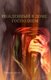 Рожденный в доме Господнем (СИ) - Yuhans Aliyye (лучшие книги .txt) 📗