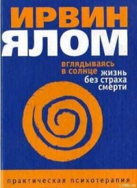 Вглядываясь в солнце. Жизнь без страха смерти - Петренко А. С. (читать книги онлайн регистрации txt) 📗