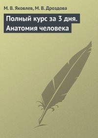 Нормальная анатомия человека: конспект лекций - Яковлев М. В. (онлайн книга без txt) 📗