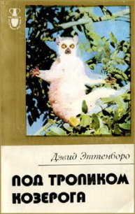 Под тропиком Козерога - Рабен Н. (читаемые книги читать онлайн бесплатно полные .TXT) 📗