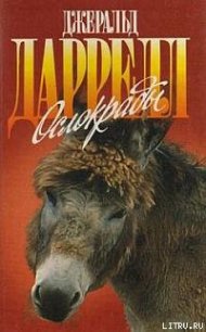 Ослокрады (с иллюстрациями) - Даррелл Джеральд (книги серии онлайн .TXT) 📗