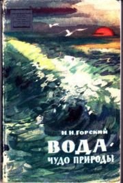 Вода - чудо природы - Горский Николай Николаевич (читать бесплатно книги без сокращений txt) 📗