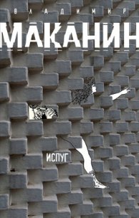 Испуг - Маканин Владимир Семенович (читать полные книги онлайн бесплатно TXT) 📗