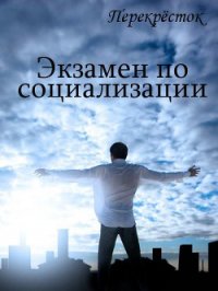 Экзамен по социализации (СИ) - Алексеева Оксана (книги читать бесплатно без регистрации полные .txt) 📗