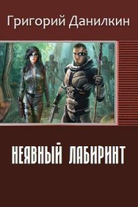 Неявный лабиринт (СИ) - Данилкин Григорий Владимирович (бесплатные полные книги .TXT) 📗