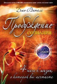 Пробуждение сознания. 4 шага к жизни, о которой вы мечтаете - Витале Джо (читаем книги бесплатно txt) 📗