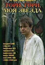 Гори, гори, моя звезда... - Фрид Валерий Семенович (читать книги бесплатно полностью без регистрации сокращений TXT) 📗