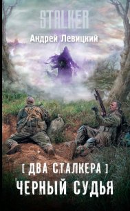 Два сталкера. Черный судья - Левицкий Андрей (серия книг txt) 📗