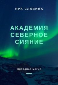 Академия Северное сияние (СИ) - Славина Яра (серии книг читать бесплатно txt) 📗