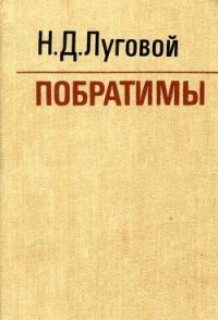 Побратимы (Партизанская быль) - Луговой Николай Дмитриевич (книга жизни TXT) 📗