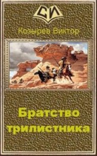 Братство Трилистника (СИ) - Козырев Виктор Алексеевич (читать книги онлайн бесплатно регистрация TXT) 📗