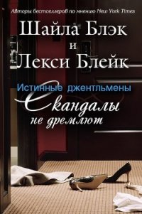 Скандалы не дремлют (ЛП) - Брэдли Шелли (список книг txt) 📗