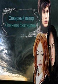 Зеркала и лица Северный Ветер (СИ) - Оленева Екатерина Александровна (книги TXT) 📗