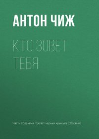 Кто зовет тебя - Чиж Антон (книги бесплатно без TXT) 📗