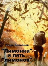 «Лимонка» и пять «лимонов» (СИ) - Волознев Игорь Валентинович (читать книги без регистрации полные TXT) 📗