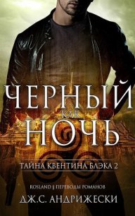 Чёрный как ночь (ЛП) - Андрижески Дж. С. (мир бесплатных книг txt) 📗