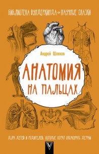 Анатомия на пальцах. Для детей и родителей, которые хотят объяснять детям - Шляхов Андрей (книги бесплатно txt) 📗