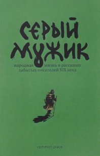 Серый мужик (Народная жизнь в рассказах забытых русских писателей XIX века) - Вдовин Алексей "Редактор" (мир бесплатных книг TXT) 📗