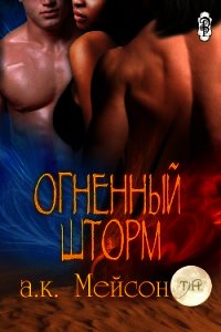 Огненный шторм (ЛП) - Мейсон А. К. (читать полную версию книги TXT) 📗