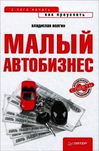 Малый автобизнес: с чего начать, как преуспеть - Волгин Владислав Васильевич (читать книги полностью без сокращений TXT) 📗