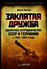 Заклятая дружба. Секретное сотрудничество СССР и Германии в 1920-1930-е годы - Кантор Юлия (читаем книги онлайн .TXT) 📗