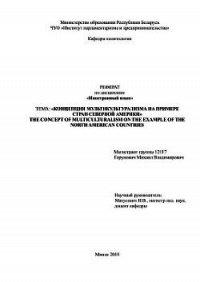 Концепция мультикультурализма на примере стран Северной Америки - Горунович Михаил Владимирович (читать книги бесплатно txt) 📗