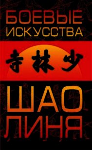 Боевые искусства Шаолиня - Чертовских Евгений (читаем книги онлайн бесплатно полностью txt) 📗