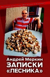 Записки «лесника» - Меркин Андрей (читаем книги бесплатно TXT) 📗