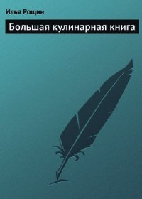 Большая кулинарная книга - Рощин Илья (мир бесплатных книг TXT) 📗