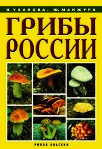 Грибы России - Уханова Ирина Александровна (читать книги онлайн бесплатно без сокращение бесплатно .TXT) 📗