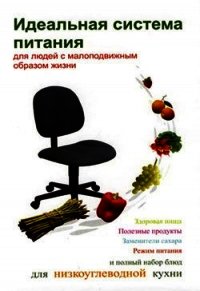 Идеальная система питания для людей с малоподвижным образом жизни - Ивлева Людмила Андреевна