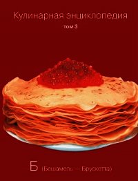 Кулинарная энциклопедия. Том 3. Б (Бешамель – Брускетта) - Бондаренко Надежда (читать лучшие читаемые книги txt) 📗