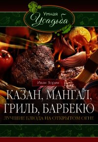 Казан, мангал, гриль, барбекю. Лучшие блюда на открытом огне - Зорин Иван (лучшие книги онлайн txt) 📗