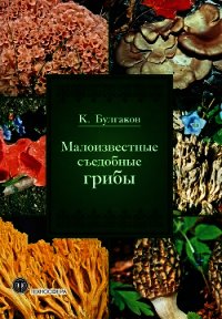 Малоизвестные съедобные грибы - Булгаков Касим Галиевич (читать полностью бесплатно хорошие книги TXT) 📗