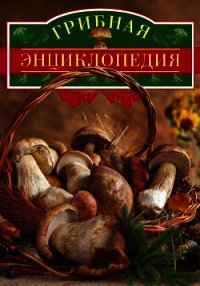 Грибная энциклопедия - Арчер Вадим (книги онлайн полные версии бесплатно txt) 📗