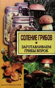 Соление грибов. Заготавливаем грибы впрок - - (читаемые книги читать онлайн бесплатно полные txt) 📗