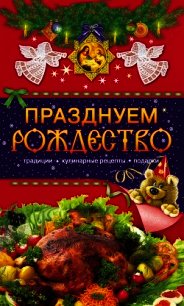 Празднуем Рождество. Традиции, кулинарные рецепты, подарки - Левкина Таисия (читать хорошую книгу TXT) 📗