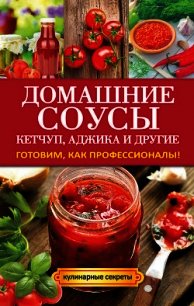 Домашние соусы. Кетчуп, аджика и другие - Доброва Елена Владимировна (книги онлайн без регистрации полностью txt) 📗